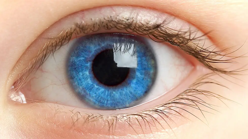 3 consells per millorar la visió de forma natural