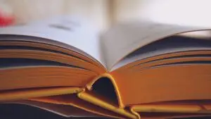 Vista de primer pla d'un llibre obert amb pàgines amb vores grogues, que mostra el llom i un text lleugerament borrós, cosa que suggereix llegir o estudiar amb una llum suau; perfecte per a aquells que utilitzen llenties progressives o compren llenties en línia.